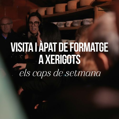 VISITA I ÀPAT_2